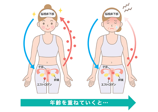 膣老化はなぜ起こる?