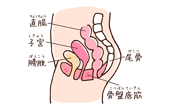 膣の筋トレでゆるみ対策